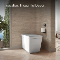 One-piece elongated smart toilet, dual-flush