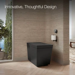 One-piece elongated smart toilet, dual-flush