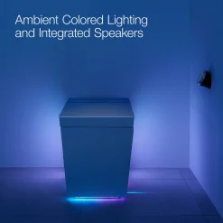 One-piece elongated smart toilet, dual-flush