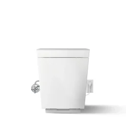 One-piece elongated smart toilet, dual-flush
