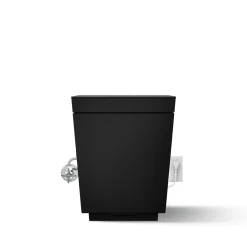 One-piece elongated smart toilet, dual-flush