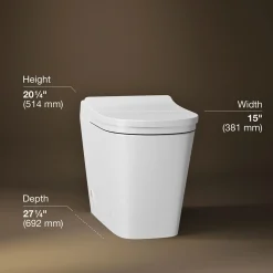 One-piece elongated smart toilet with front bidet wand technology, dual-flush