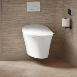 One-piece elongated smart toilet, dual-flush