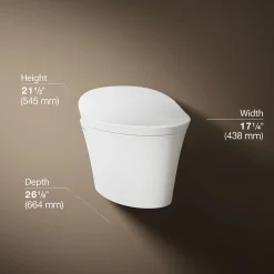 One-piece elongated smart toilet, dual-flush
