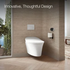 One-piece elongated smart toilet, dual-flush