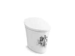 One-piece elongated smart toilet, dual-flush