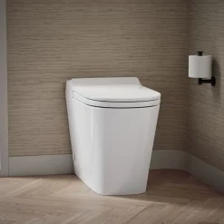 One-piece elongated toilet, dual-flush