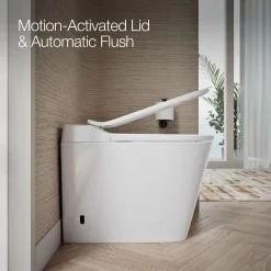 One-piece elongated toilet, dual-flush