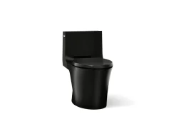 One-piece elongated toilet with skirted trapway, dual-flush