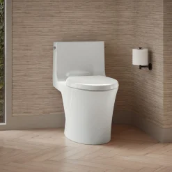 One-piece elongated toilet with skirted trapway, dual-flush