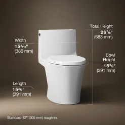 One-piece elongated toilet with skirted trapway, dual-flush