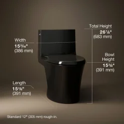 One-piece elongated toilet with skirted trapway, dual-flush