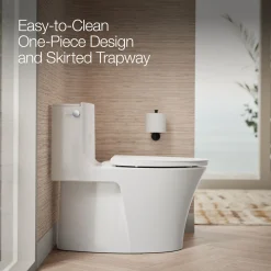 One-piece elongated toilet with skirted trapway, dual-flush