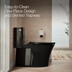 One-piece elongated toilet with skirted trapway, dual-flush