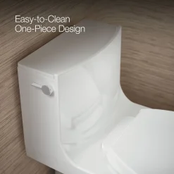 One-piece elongated toilet with skirted trapway, dual-flush