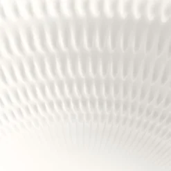 19-1/2