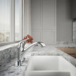 Pull-out kitchen sink faucet with two-function sprayhead