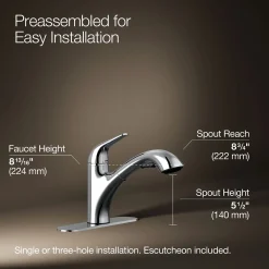 Pull-out kitchen sink faucet with two-function sprayhead