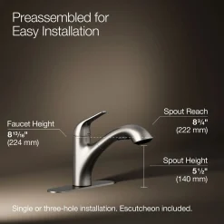 Pull-out kitchen sink faucet with two-function sprayhead