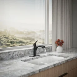 Pull-out kitchen sink faucet with two-function sprayhead