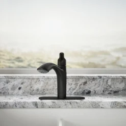 Pull-out kitchen sink faucet with two-function sprayhead