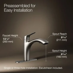 Pull-out kitchen sink faucet with two-function sprayhead