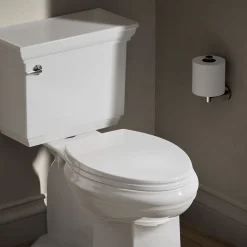 Quick-Release™ elongated toilet seat