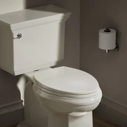 Quick-Release™ elongated toilet seat