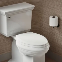 Quick-Release™ elongated toilet seat with antimicrobial agent