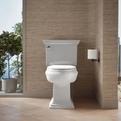 Quick-Release™ elongated toilet seat with antimicrobial agent