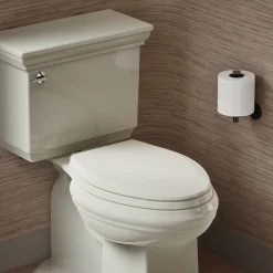 Quick-Release™ elongated toilet seat