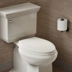 Quick-Release™ elongated toilet seat