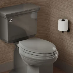 Quick-Release™ elongated toilet seat