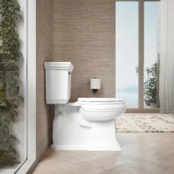 Quick-Release™ elongated toilet seat