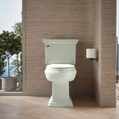 Quick-Release™ elongated toilet seat