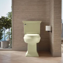 Quick-Release™ elongated toilet seat