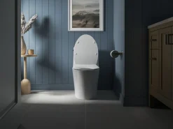 Quiet-Close™ elongated toilet seat