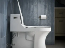 Quiet-Close™ elongated toilet seat