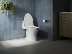 Quiet-Close™ elongated toilet seat