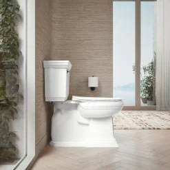 Quiet-Close™ elongated toilet seat
