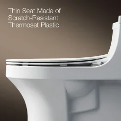 Quiet-Close™ elongated toilet seat