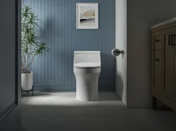 Quiet-Close™ elongated toilet seat