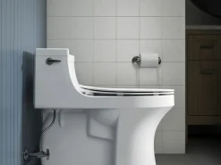Quiet-Close™ elongated toilet seat