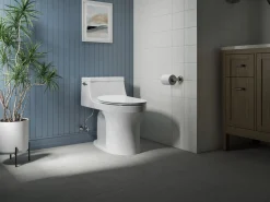 Quiet-Close™ elongated toilet seat