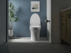 Quiet-Close™ elongated toilet seat