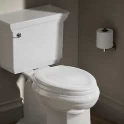 Quiet-Close™ elongated toilet seat