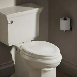 Quiet-Close™ elongated toilet seat