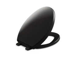 Quiet-Close™ elongated toilet seat
