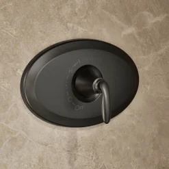 Remodel Rite-Temp® shower trim kit, 2.5 gpm