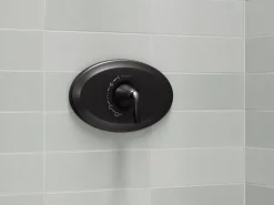 Remodel Rite-Temp® valve trim